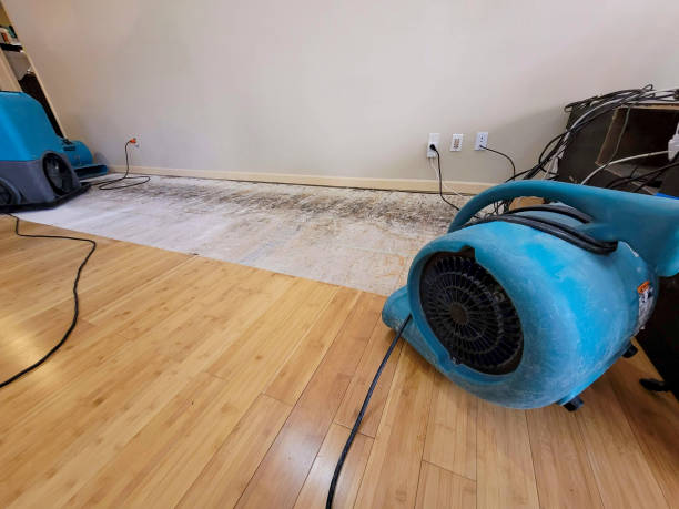 Professional Ceiling Water Damage Repair technician working in Satartia, MS